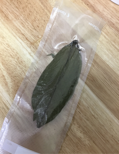 Soursop Leaves (10)