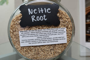 Nettle Root