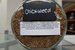 Chickweed