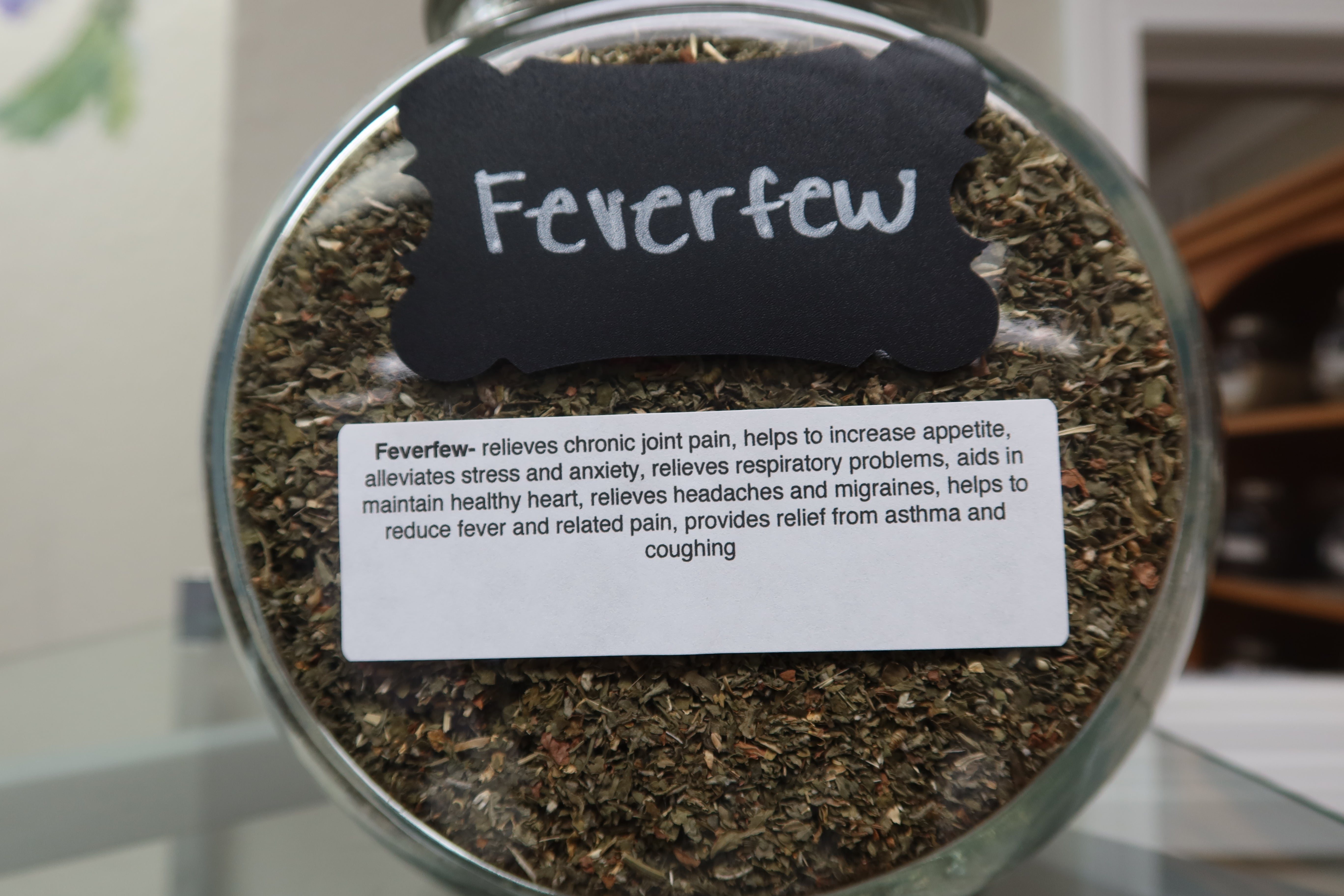 Feverfew