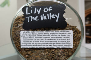 Lily of the valley
