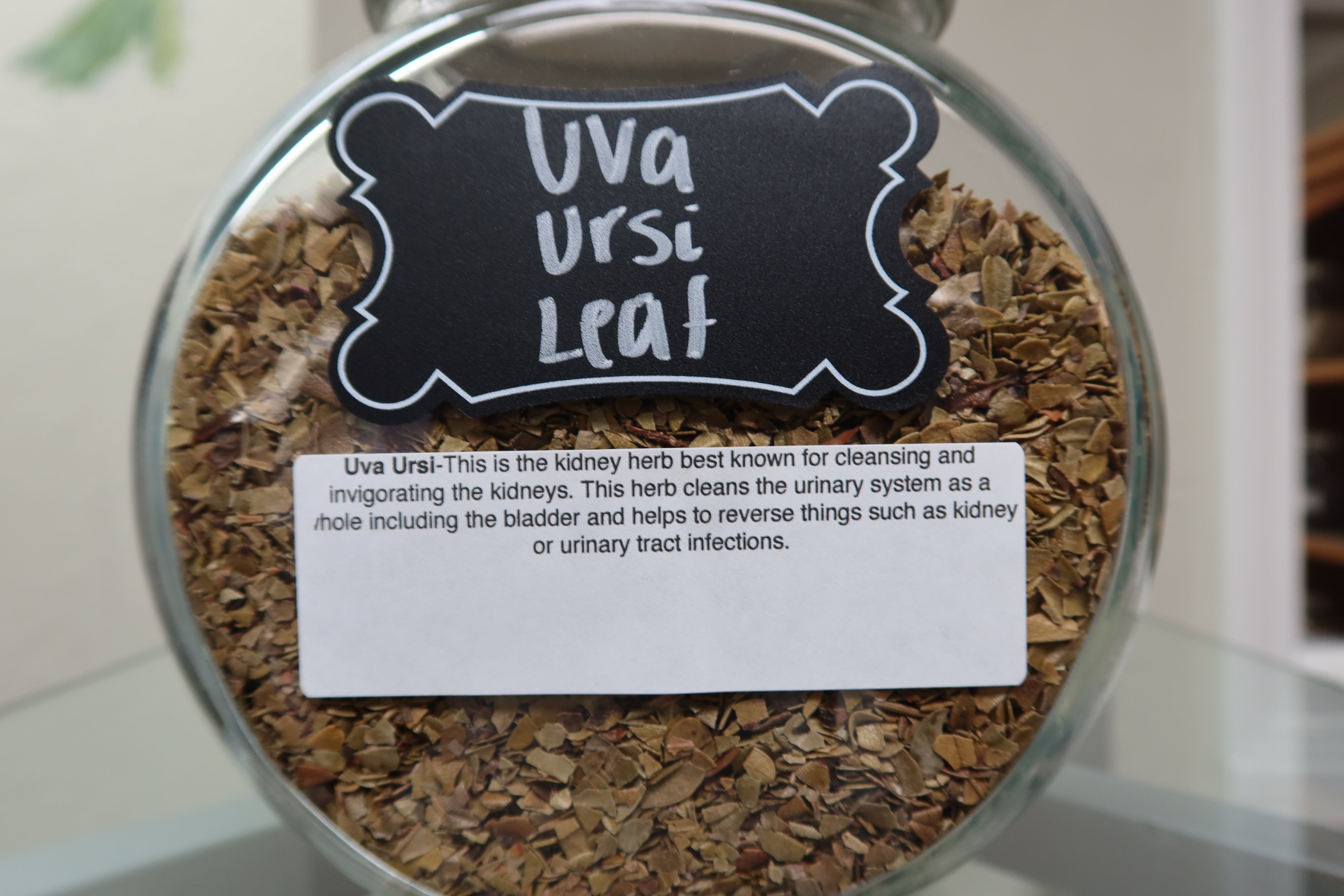 Uva ursi leaf