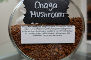 Chaga mushroom